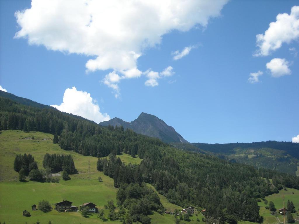 Landhaus & Appartementhaus Haussteiner Dorfgastein Phòng bức ảnh